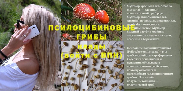 ГАЛЛЮЦИНОГЕННЫЕ ГРИБЫ Медногорск