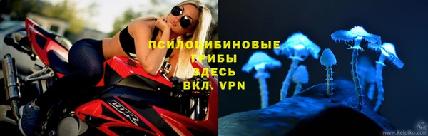 прущие крисы Мегион