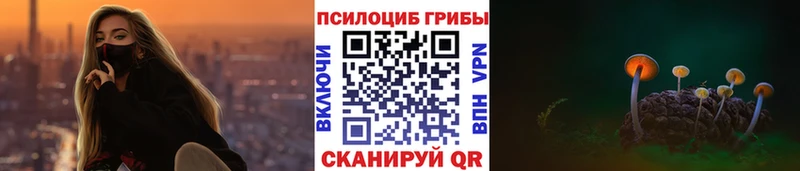 Псилоцибиновые грибы Magic Shrooms  Купить где  Ивангород 